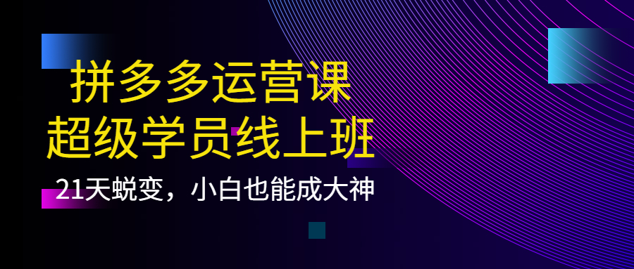 拼多多运营课：超级学员线上班，21天蜕变，小白也能成大神-刀客资源网