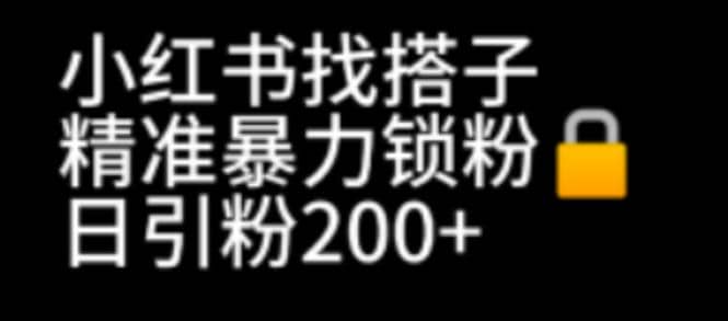 小红书找搭子暴力精准锁粉+引流日引200+精准粉-刀客资源网