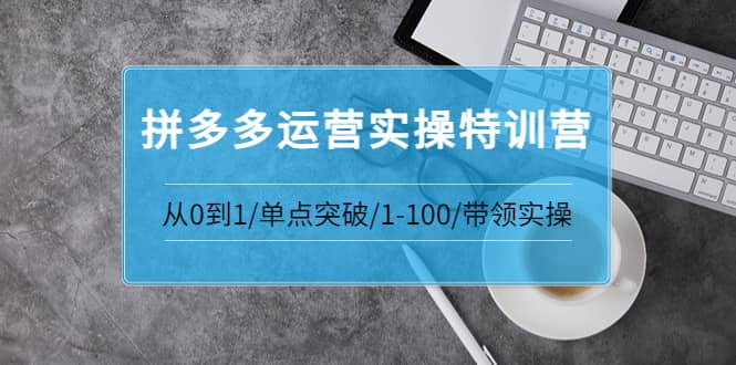 拼多多运营实操特训营：从0到1/单点突破/1-100/带领实操 价值2980元-刀客资源网
