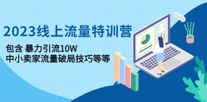 2023线上流量特训营：中小卖家流量破局技巧等等-刀客资源网