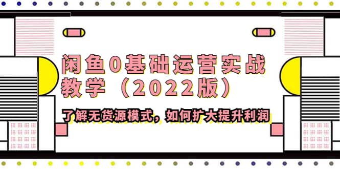 闲鱼0基础运营实战教学（2022版）了解无货源模式，如何扩大提升利润-刀客资源网