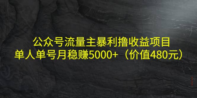 公众号流量主暴利撸收益项目，单人单号月稳赚5000+（价值480元）-刀客资源网