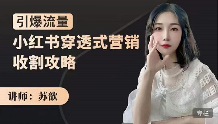 小红书穿透式营销收割攻略，引爆流量，助你玩转小红书-刀客资源网