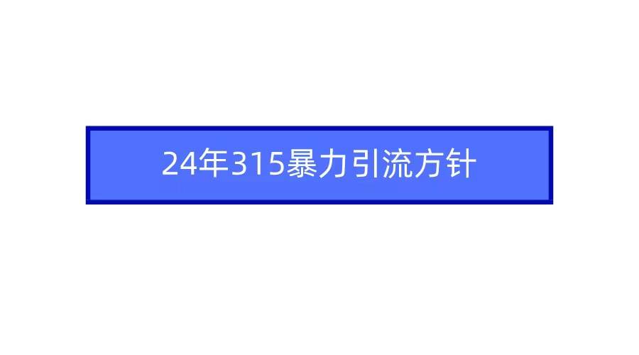 2024年315暴力引流方针-刀客资源网