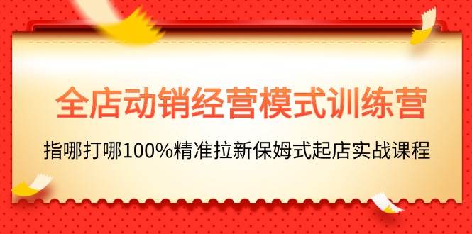 全店动销-经营模式训练营，指哪打哪100%精准拉新保姆式起店实战课程-刀客资源网