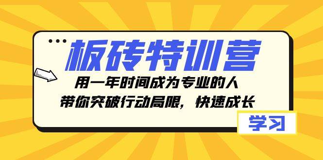 板砖特训营，用一年时间成为专业的人，带你突破行动局限，快速成长-刀客资源网