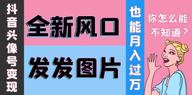 抖音头像号变现0基础教程-刀客资源网