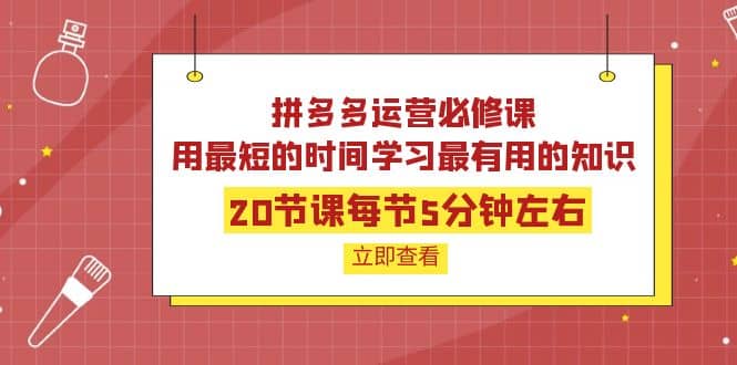 拼多多运营必修课：20节课每节5分钟左右，用最短的时间学习最有用的知识-刀客资源网