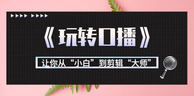 月营业额700万+大佬教您《玩转口播》让你从“小白”到剪辑“大师”-刀客资源网