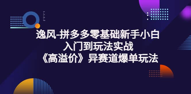 拼多多零基础小白小白入门到玩法实战《高溢价》异赛道爆单玩法实操课-刀客资源网