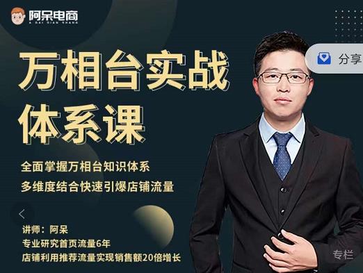 阿呆-万相台实战体系课，帮您全面掌握万相台知识体系-刀客资源网