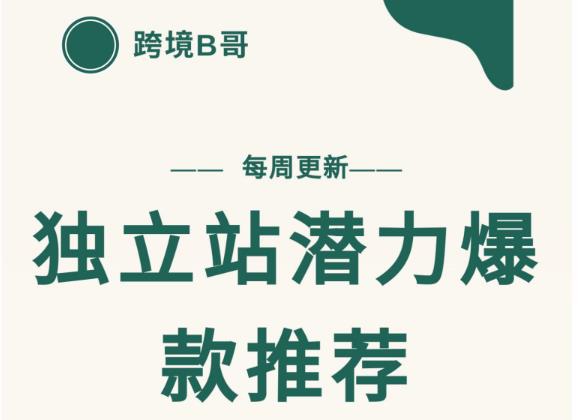 【跨境B哥】独立站潜力爆款选品推荐，测款出单率高达百分之80（每周更新）-刀客资源网