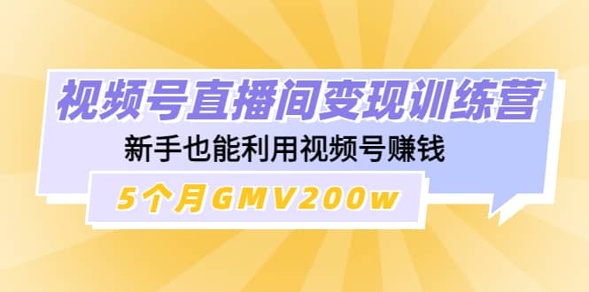 视频号直播间变现训练营-刀客资源网