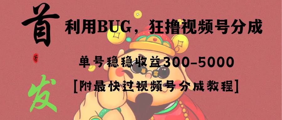 全网独家首发，视频号BUG，超短期项目，单号每日净收益300-5000！-刀客资源网