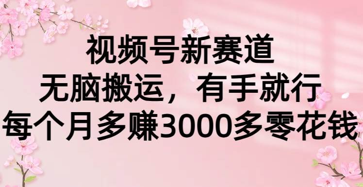视频号新赛道，无脑搬运，有手就行，每个月多赚3000多零花钱-刀客资源网