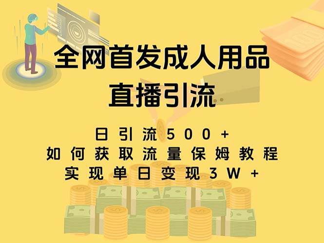 最新全网独创首发，成人用品直播引流获客暴力玩法，单日变现3w保姆级教程-刀客资源网