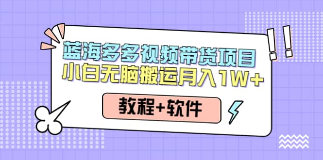 人人都能操作的蓝海多多视频带货项目 小白无脑搬运（教程+软件）-刀客资源网