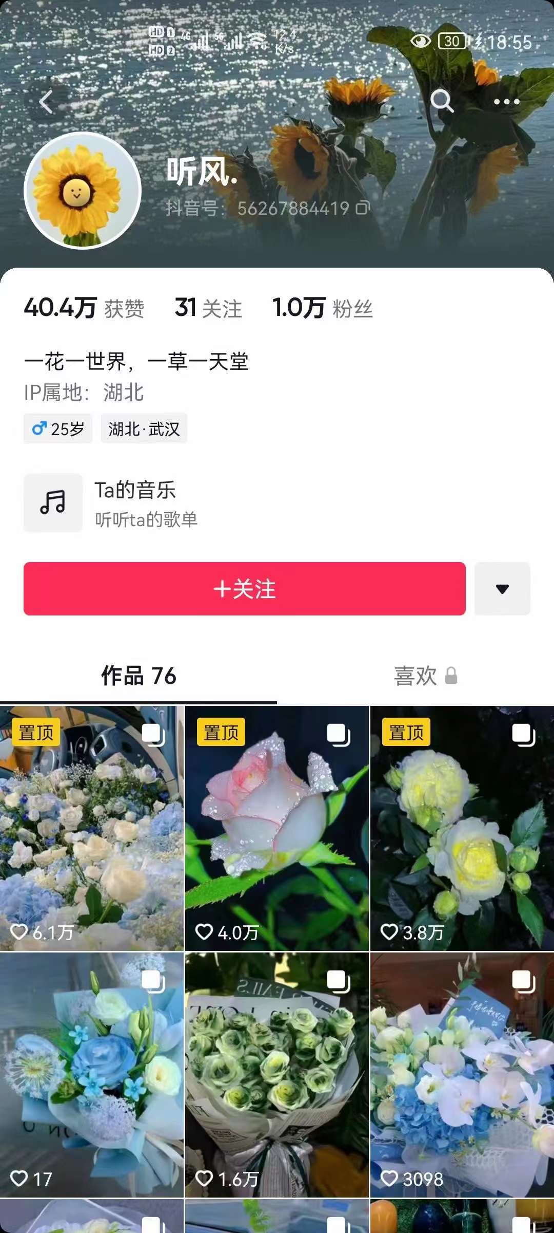 图片[2]-抖音壁纸变现项目：实战日入380+发布壁纸素材获取收益！-刀客资源网