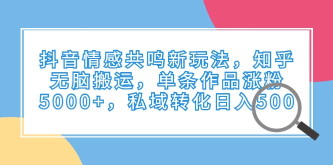 抖音情感共鸣新玩法，知乎无脑搬运，单条作品涨粉5000+，私域转化日入500-刀客资源网