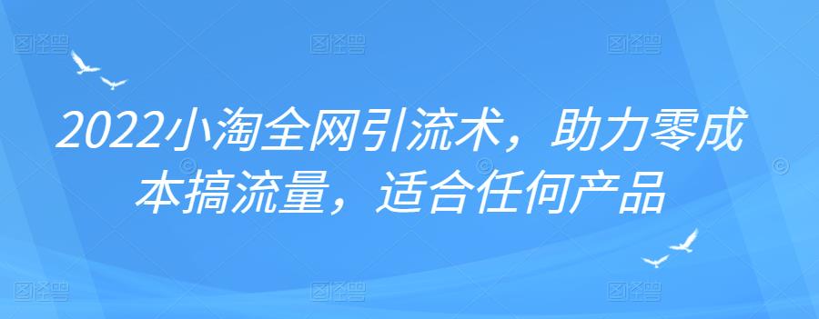 2022年小淘全网引流术，助力零成本搞流量，适合任何产品-刀客资源网
