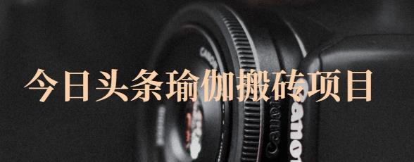 猎人社区·今日头条瑜伽搬砖项目，单号一天几十收入，可以批量操作！-刀客资源网