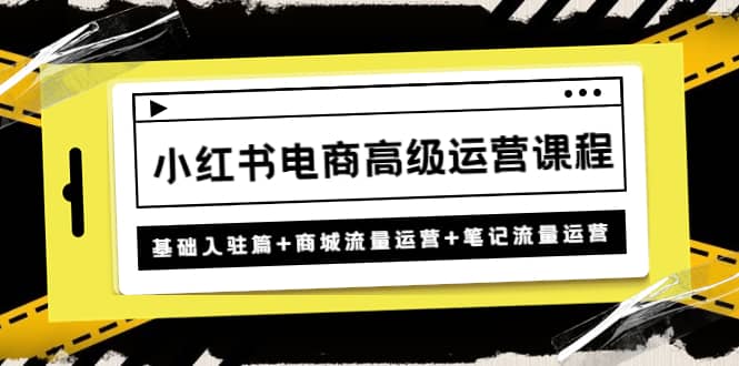 小红书电商高级运营课程：基础入驻篇+商城流量运营+笔记流量运营-刀客资源网