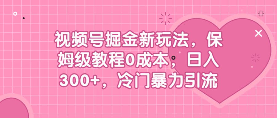 视频号掘金新玩法，保姆级教程0成本，日入300+，冷门暴力引流-刀客资源网