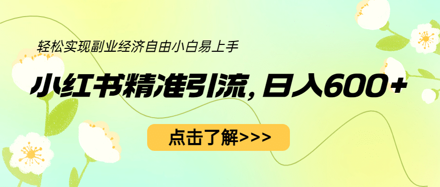 小红书精准引流，小白日入600+，轻松实现副业经济自由（教程+1153G资源）-刀客资源网