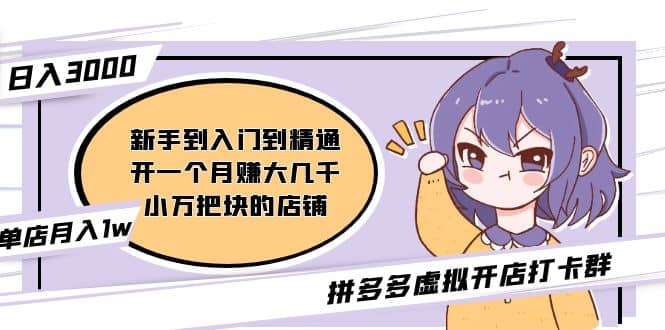 拼多多虚拟开店打卡群：小白到入门到精通-刀客资源网