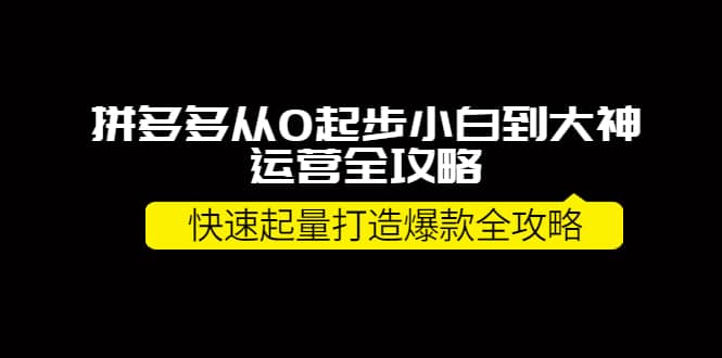 拼多多从0起步小白到大神运营全攻略-刀客资源网