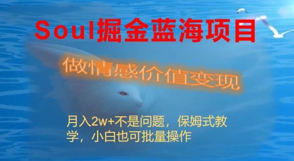Soul掘金蓝海项目细分赛道，做情感价值变现，月入2w+不是问题-刀客资源网