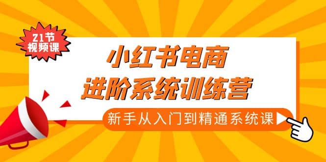 小红书电商进阶系统训练营：小白从入门到精通系统课（21节视频课）-刀客资源网