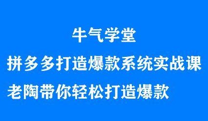 牛气学堂拼多多打造爆款系统实战课，老陶带你轻松打造爆款-刀客资源网
