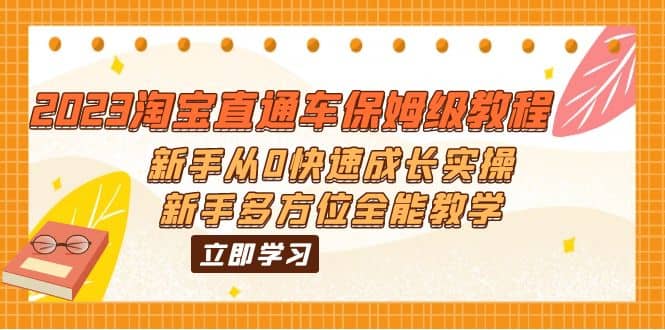 2023淘宝直通车保姆级教程：小白从0快速成长实操，小白多方位全能教学-刀客资源网