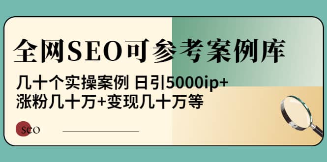 《全网SEO可参考案例库》几十个实操案例-刀客资源网