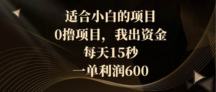 适合小白的项目，0撸项目，我出资金，每天15秒，一单利润600-刀客资源网