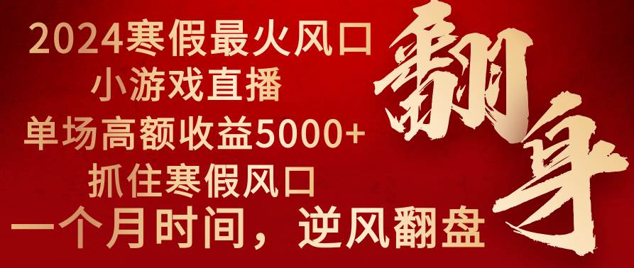 2024年最火寒假风口项目 小游戏直播 单场收益5000+抓住风口 一个月直接提车-刀客资源网