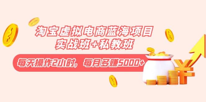 淘宝虚拟电商蓝海项目实战班+私教班-刀客资源网
