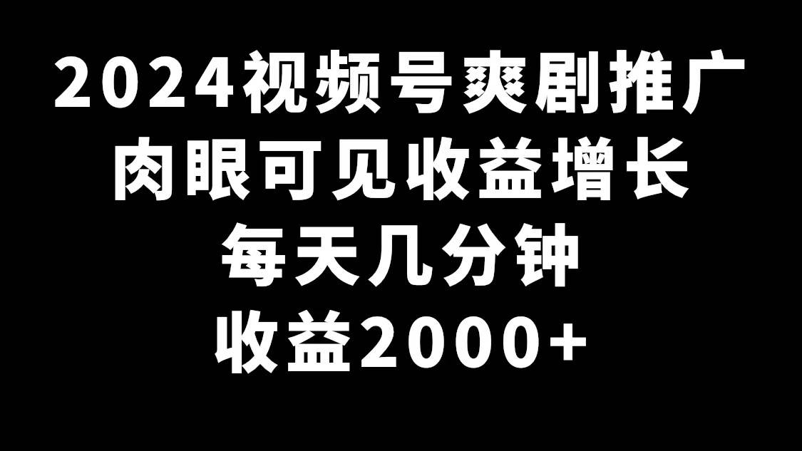 2024视频号爽剧推广，肉眼可见的收益增长，每天几分钟收益2000+-刀客资源网