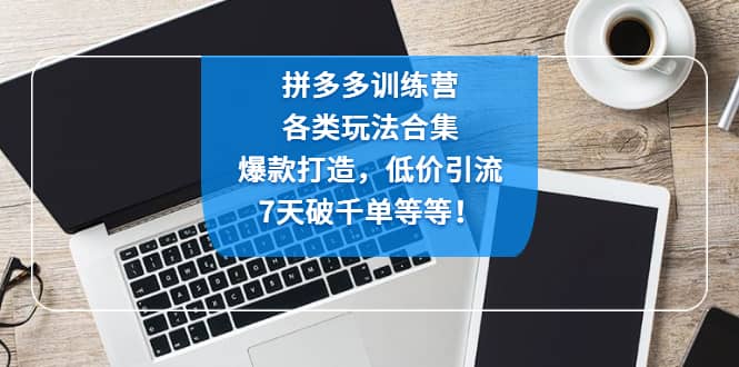 拼多多训练营：各玩法合集，爆款打造，低价引流，7天破千单等等-刀客资源网