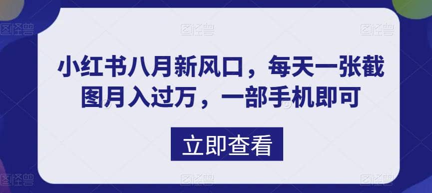 八月新风口，小红书虚拟项目一天收入1000+，实战揭秘-刀客资源网