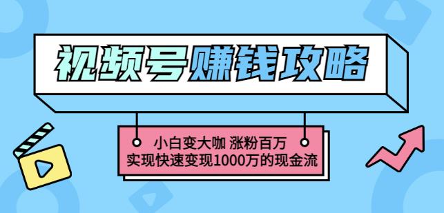 玩转微信视频号赚钱：小白变大咖涨粉百万实现快速变现1000万的现金流-刀客资源网