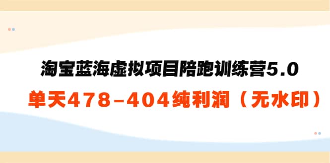 淘宝蓝海虚拟项目陪跑训练营5.0：单天478纯利润（无水印）-刀客资源网
