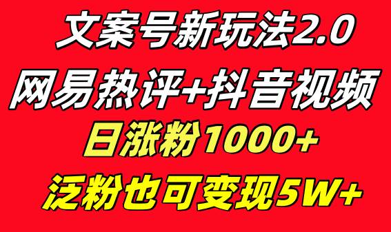 文案号新玩法 网易热评+抖音文案 一天涨粉1000+ 多种变现模式 泛粉也可变现-刀客资源网