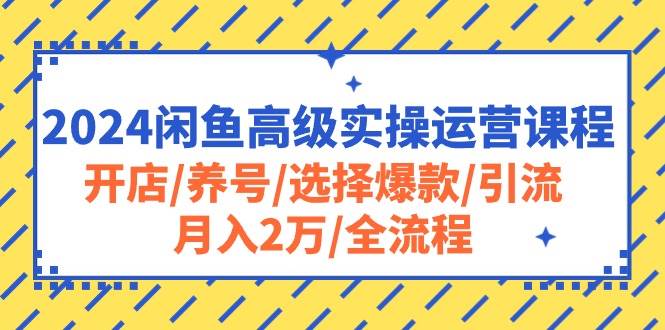 2024闲鱼高级实操运营课程：开店/养号/选择爆款/引流/月入2万/全流程-刀客资源网