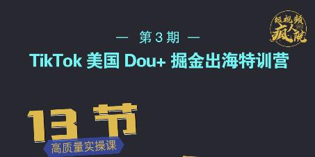 TikTok美国Dou+掘金出海特训营，美国dou+成功投放95%-刀客资源网