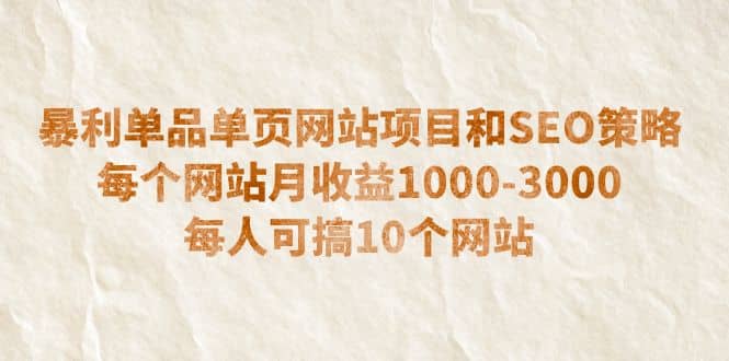 暴利单品单页网站项目和SEO策略 每个网站月收益1000-3000 每人可搞10个-刀客资源网