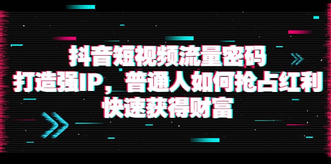 抖音短视频流量密码：打造强IP，普通人如何抢占红利，快速获得财富-刀客资源网