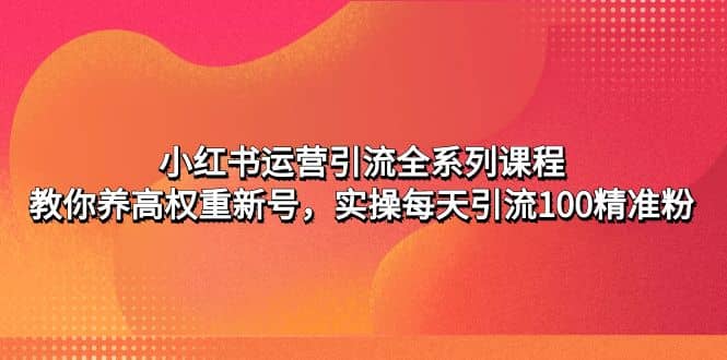 小红书运营引流全系列课程：教你养高权重新号-刀客资源网