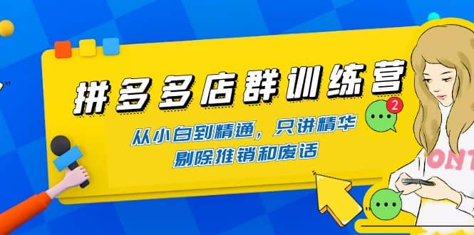拼多多店群训练营：从小白到精通，只讲精华，剔除推销和废话-刀客资源网